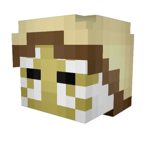 AuriusPheonix Minecraft avatar head, 3D render