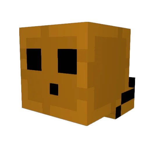 Auroboros420 Minecraft avatar head, 3D render