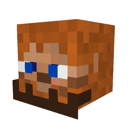 Auronf27 Minecraft avatar head, 3D render