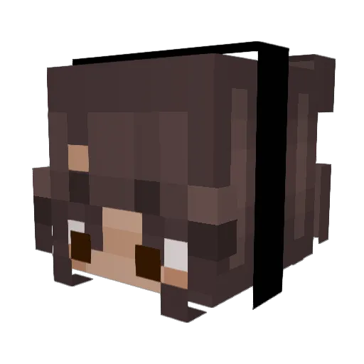 Aurora0213 Minecraft avatar head, 3D render