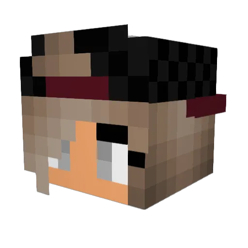 Aurora15504 Minecraft avatar head, 3D render