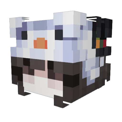 Aurora4068 Minecraft avatar head, 3D render
