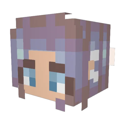 AuroraBorealis_ Minecraft avatar head, 3D render