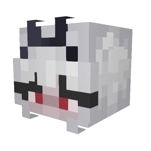 AuroraBorti Minecraft avatar head, 3D render