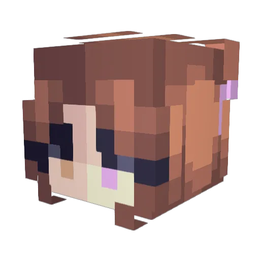 AuroraFangs Minecraft avatar head, 3D render