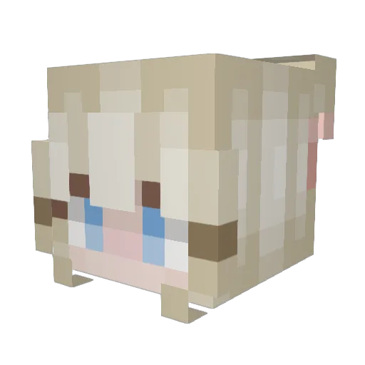 AuroraIBorealis Minecraft avatar head, 3D render