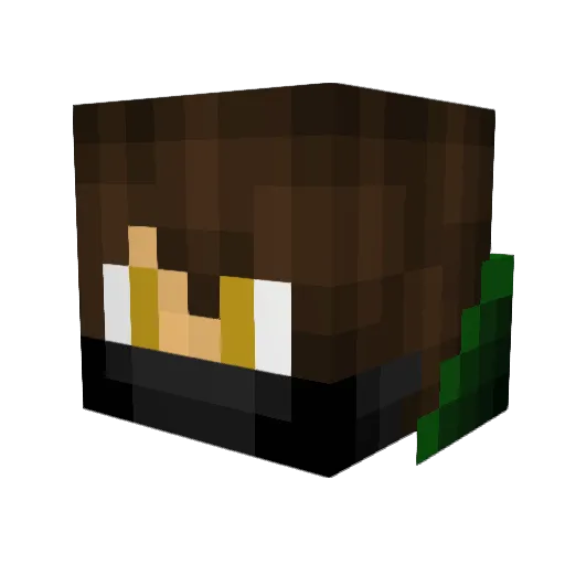 AuroraPlayMC Minecraft avatar head, 3D render