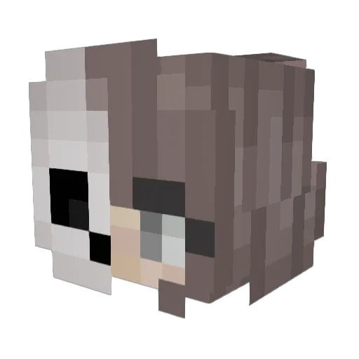 AuroraZune Minecraft avatar head, 3D render