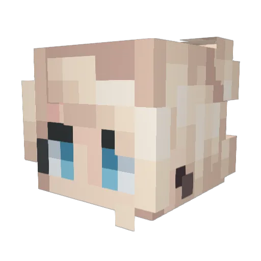 Aurora_0006 Minecraft avatar head, 3D render