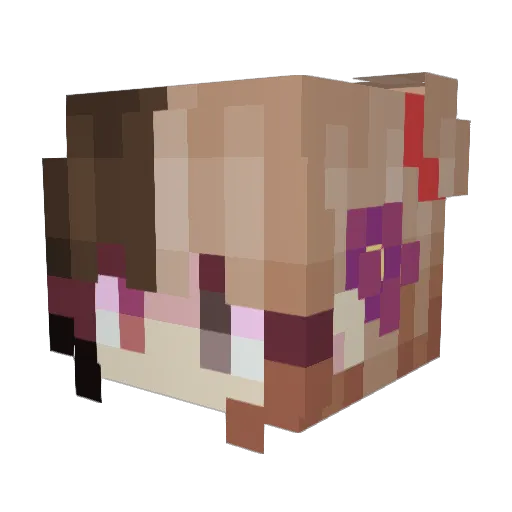 Aurora_B Minecraft avatar head, 3D render