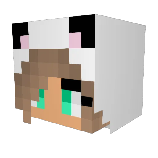 Aurora_B_O Minecraft avatar head, 3D render