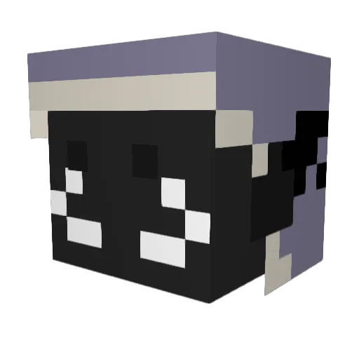 Aurora_Foxes Minecraft avatar head, 3D render