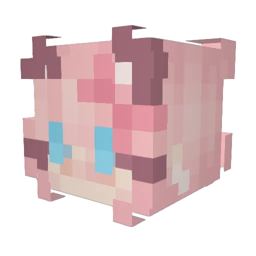 Aurora_Kitten Minecraft avatar head, 3D render