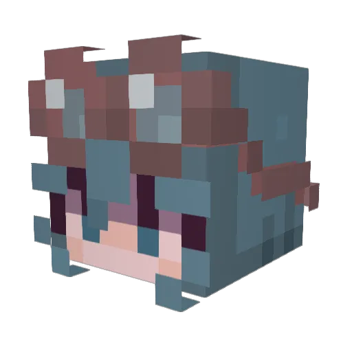 Aurora_Luna Minecraft avatar head, 3D render