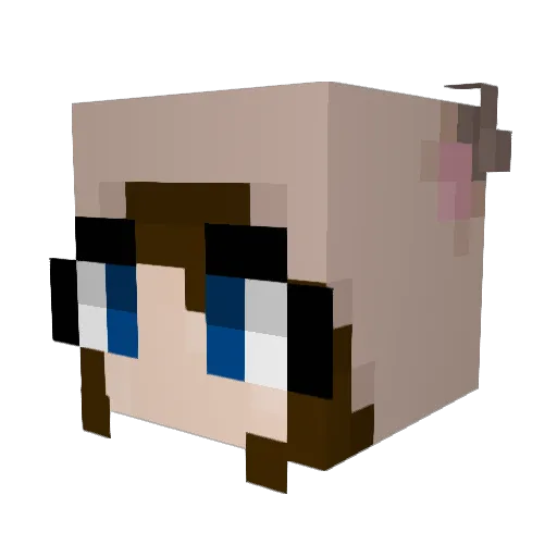 Aurora_Pup Minecraft avatar head, 3D render