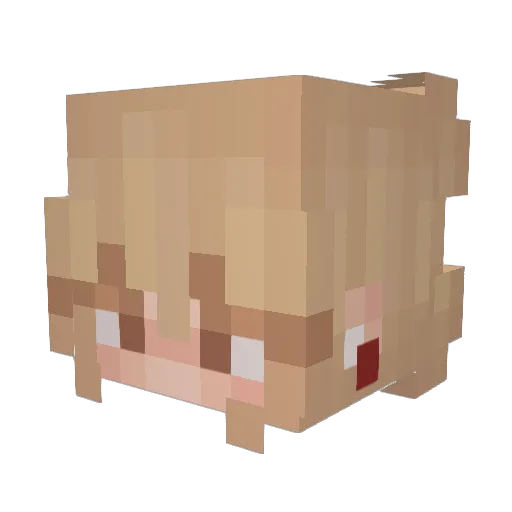Aurora_Zo_Bo Minecraft avatar head, 3D render