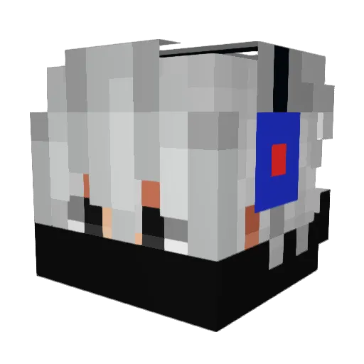 Aurora_ch Minecraft avatar head, 3D render