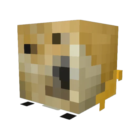 Aurora_dog Minecraft avatar head, 3D render