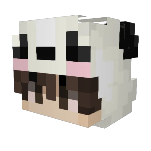 Aurorabobo Minecraft avatar head, 3D render