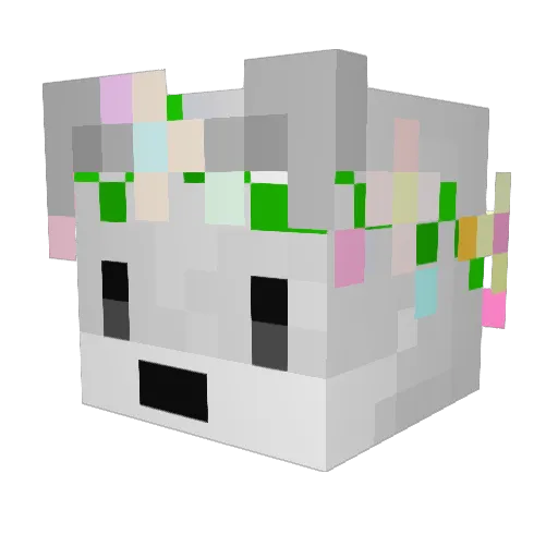 AuroralNight Minecraft avatar head, 3D render