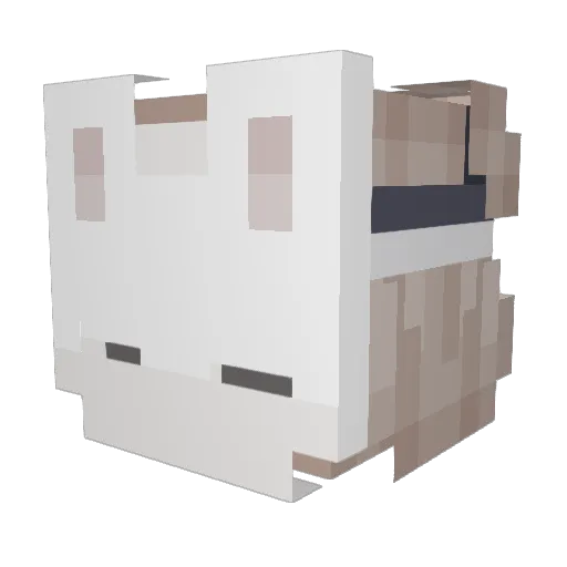 Auroruu Minecraft avatar head, 3D render