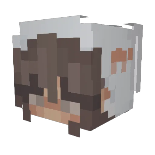 Aurous Minecraft avatar head, 3D render