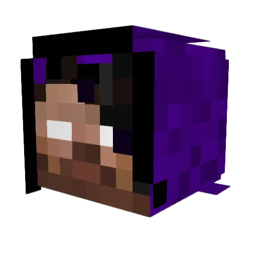 Aurus5557 Minecraft avatar head, 3D render