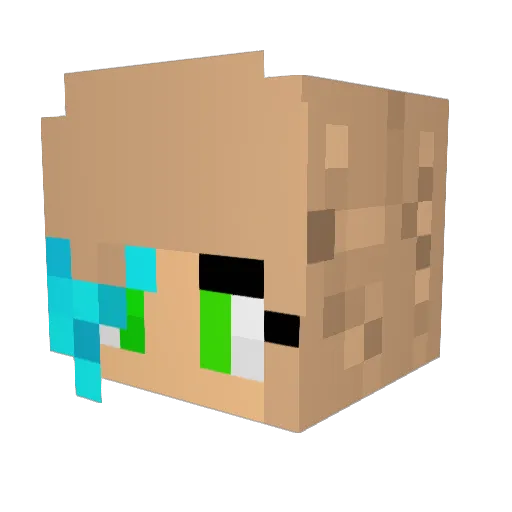Aury_2k6 Minecraft avatar head, 3D render