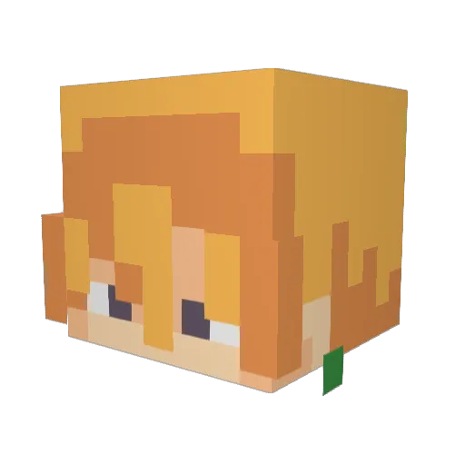 Aus10x Minecraft avatar head, 3D render