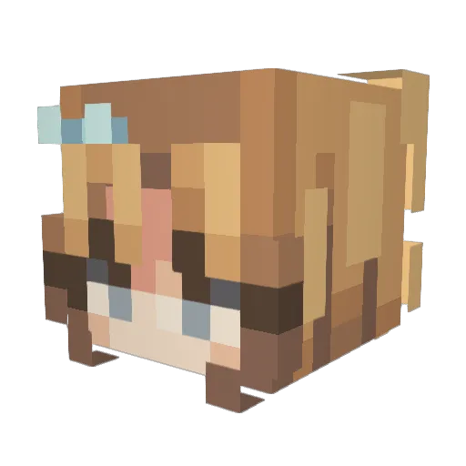 Aus1an Minecraft avatar head, 3D render