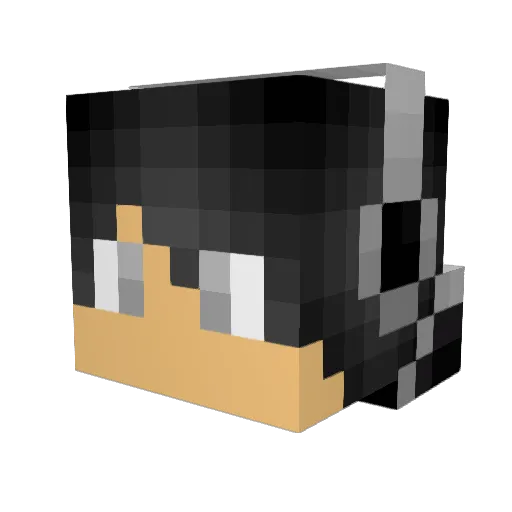 Ausdragon21 Minecraft avatar head, 3D render