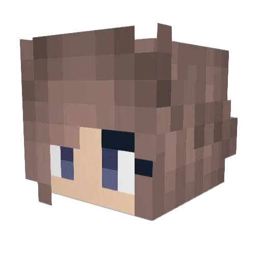 Auser5 Minecraft avatar head, 3D render