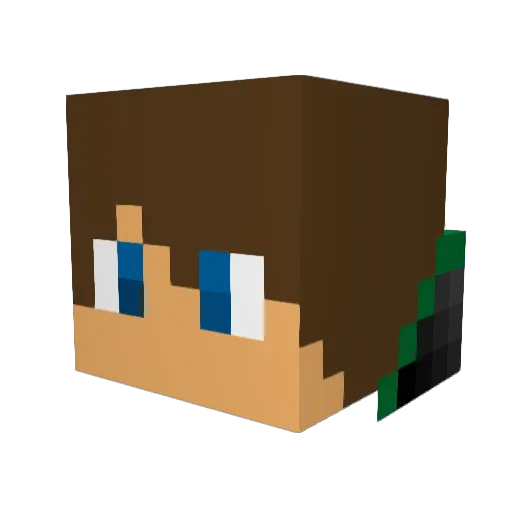 Ausgelassen Minecraft avatar head, 3D render