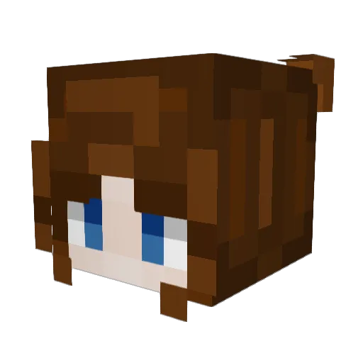 AuspiciousSoup Minecraft avatar head, 3D render