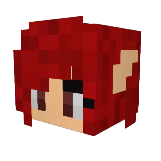 Aussie3210 Minecraft avatar head, 3D render