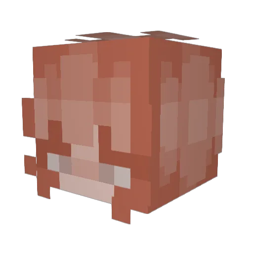 AussieAlly Minecraft avatar head, 3D render