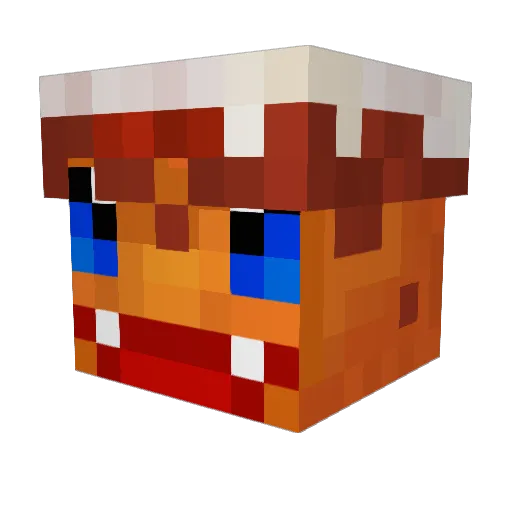 AussieB747 Minecraft avatar head, 3D render