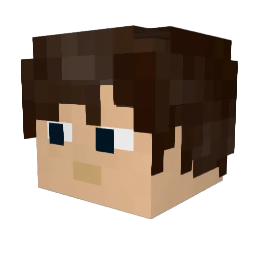 AussieDingo25 Minecraft avatar head, 3D render