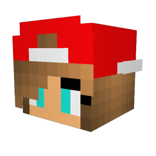 AussieGrub Minecraft avatar head, 3D render