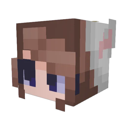 AussieKpopStan Minecraft avatar head, 3D render