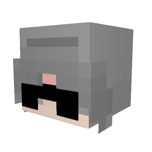 Aussie_Pom Minecraft avatar head, 3D render