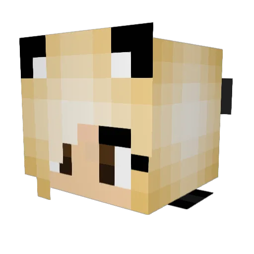 Aussiegirl15 Minecraft avatar head, 3D render