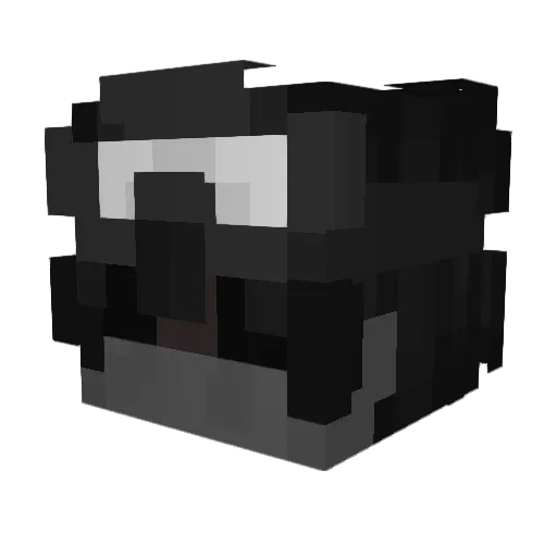 Aussiekid296 Minecraft avatar head, 3D render