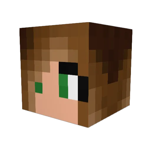 Austarus Minecraft avatar head, 3D render