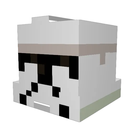 Austim22 Minecraft avatar head, 3D render