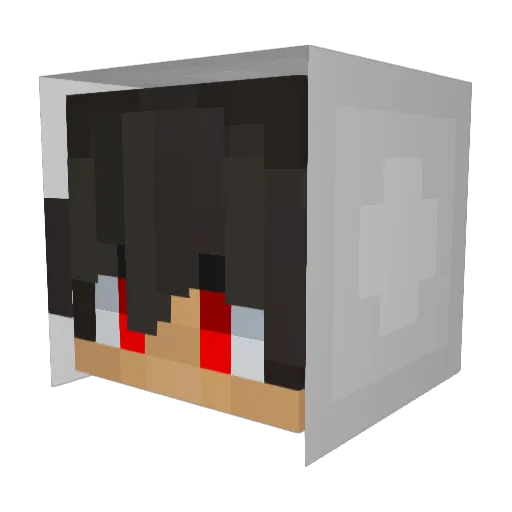 Austin1729 Minecraft avatar head, 3D render