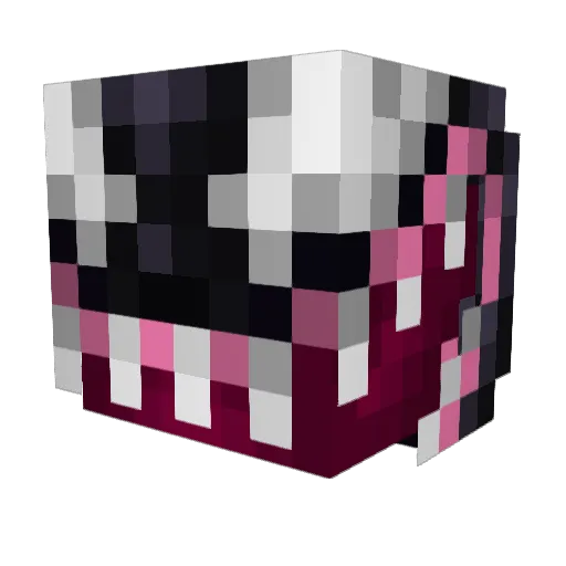 Austin529 Minecraft avatar head, 3D render