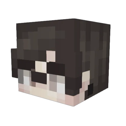 Austin5409 Minecraft avatar head, 3D render