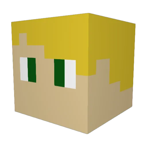 Austin5600 Minecraft avatar head, 3D render