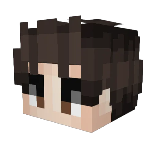AustinBtw Minecraft avatar head, 3D render